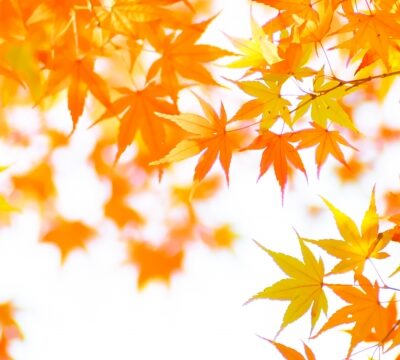 奈良県の皆さま！11月は外壁・屋根塗装のシーズンです！